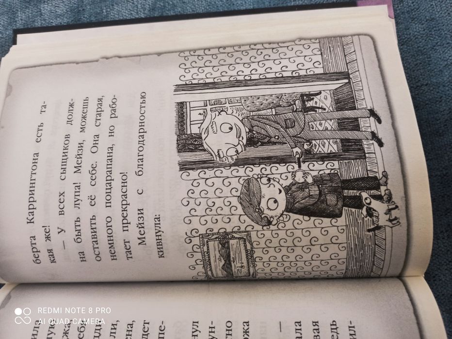 Книга Мейзи Хитчинс