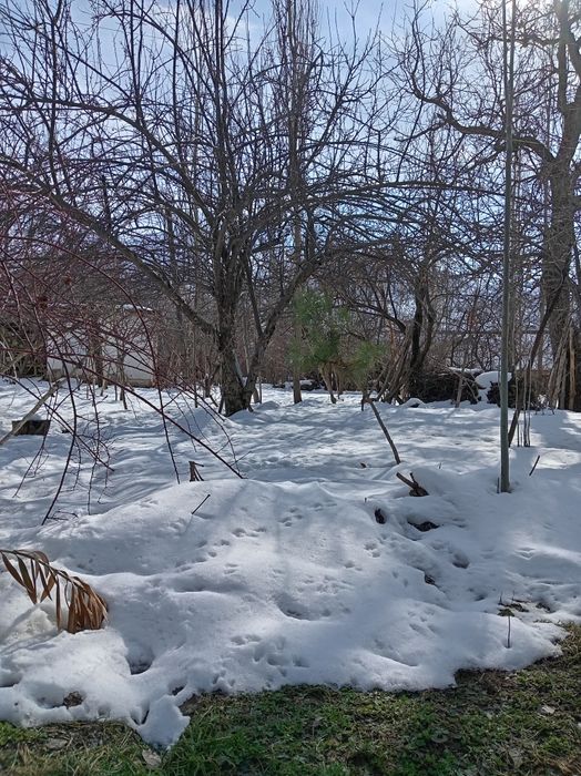 Bustonliq tumani sijjak qishlog'i yer sotiladi