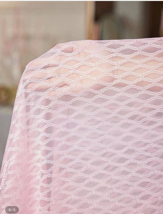 Juda chiroyli pinivar