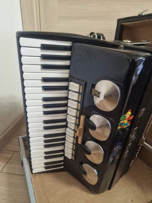 Чешки акордеон DELISIA choral 120 баса