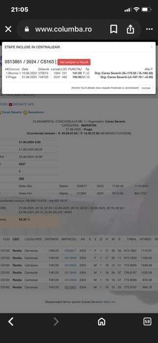 Vând porumbei fond-maraton cu clasări