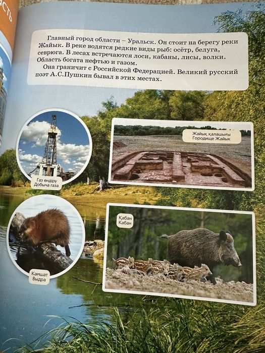 Книга для школьников и дошкольников