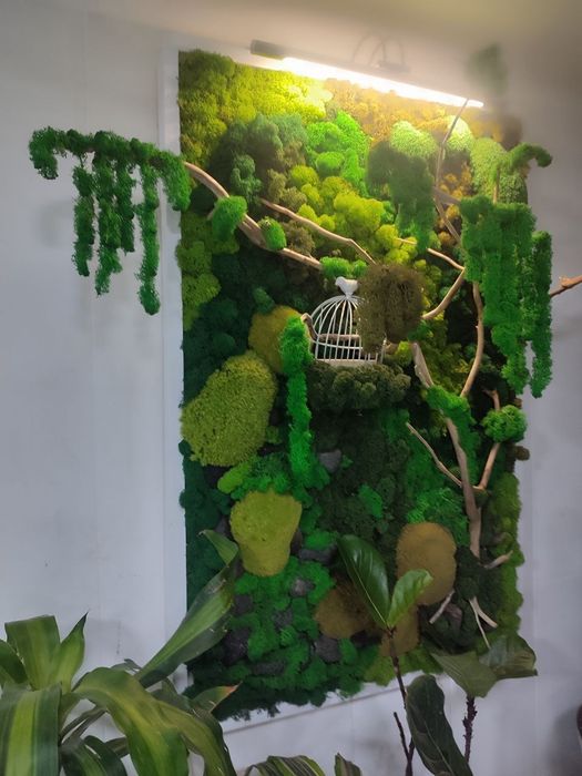 Пано Стабилизированный Мох , Ягель Кочки Пласт Коряги Лава Блек,