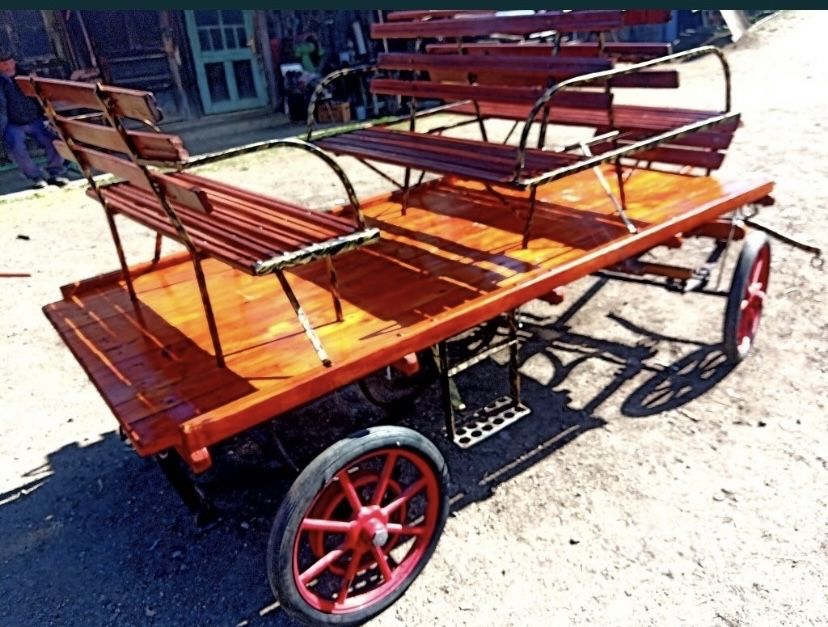 Caleasca/trasura ponei si pentru cai