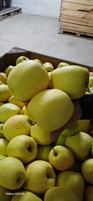 Mere de vânzare. Cantitate mare. Calitate superioară