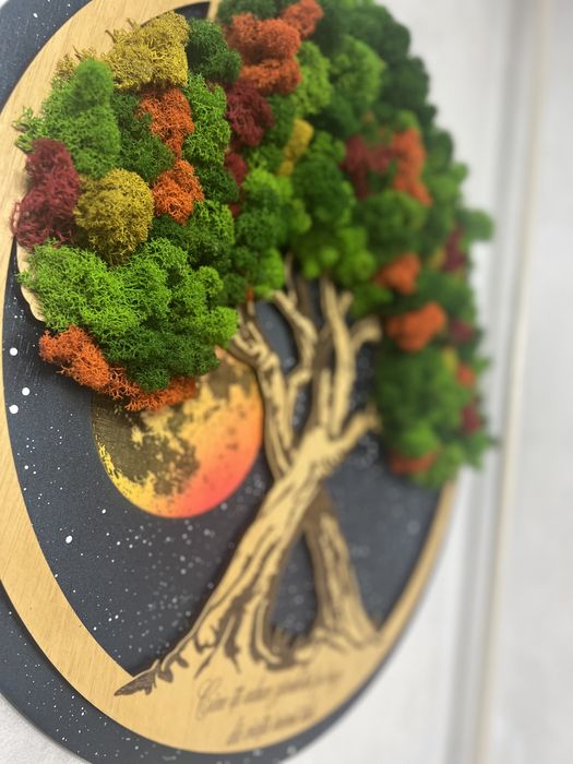 Tablou cu licheni personalizat 60cm diametru