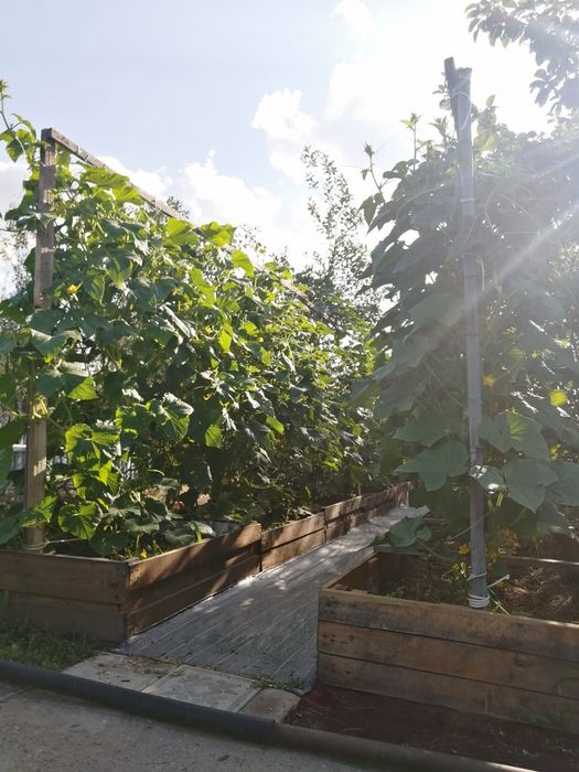 Продам дачу СК "Спартак"