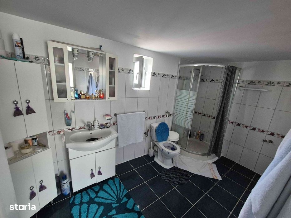 Proprietate mare 2529 mp  casa si anexe