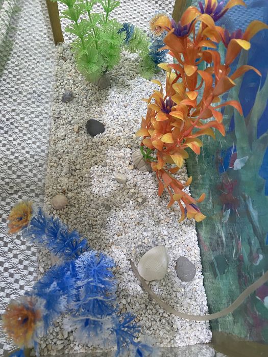 TAYYOR akvarium sotiladi.