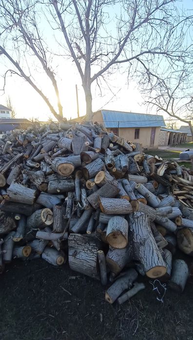 Отын бар дайын 4 камаз