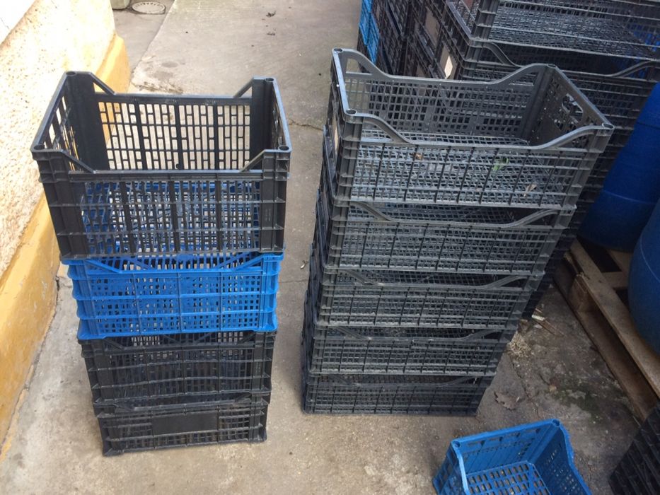 Lazi plastic noi