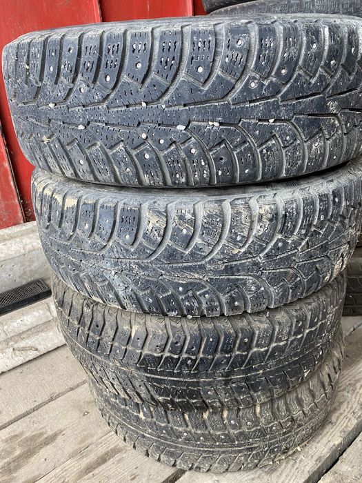 Зимнии болон