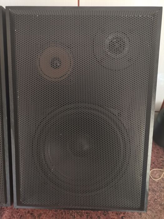 Тонколони I.Q...