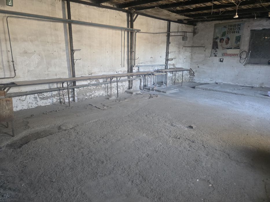 Катта йул устида хумо туйхона ён тарафи