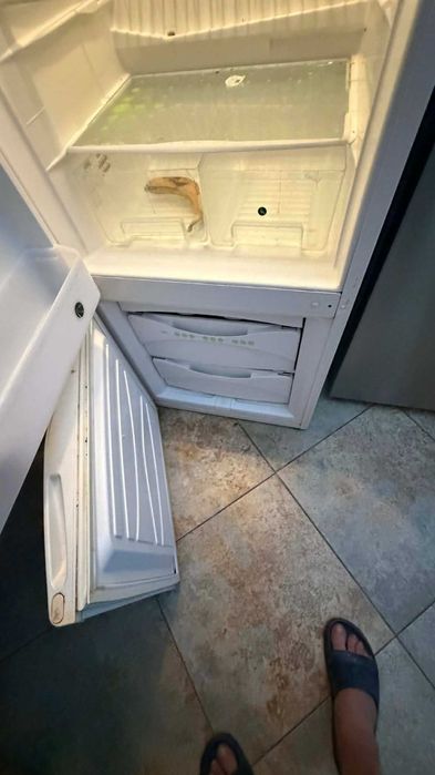 Хладилник IGNIS