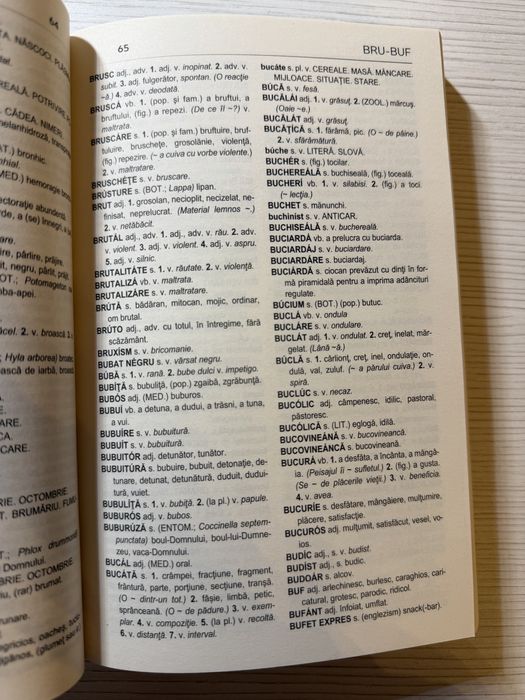 Dictionar de sinonime