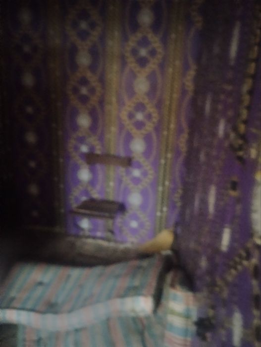 Къща с двор в с.Девене