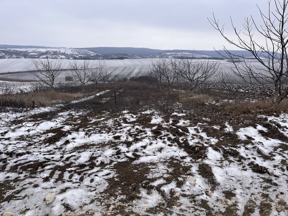 Teren intravilan in Iezer, (Padureni) jud. Botoșani