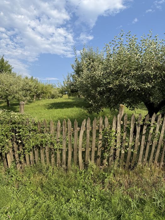 Teren 5.000 mp DN73D Boteni – casă/pensiune