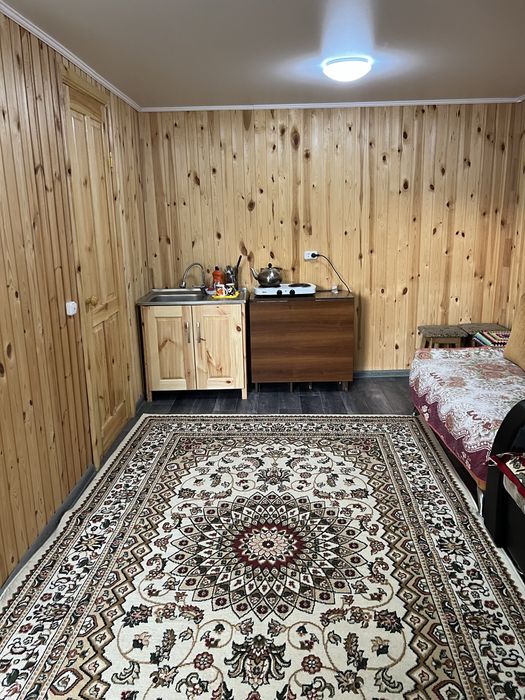 Домики в Боровом благоустроенные