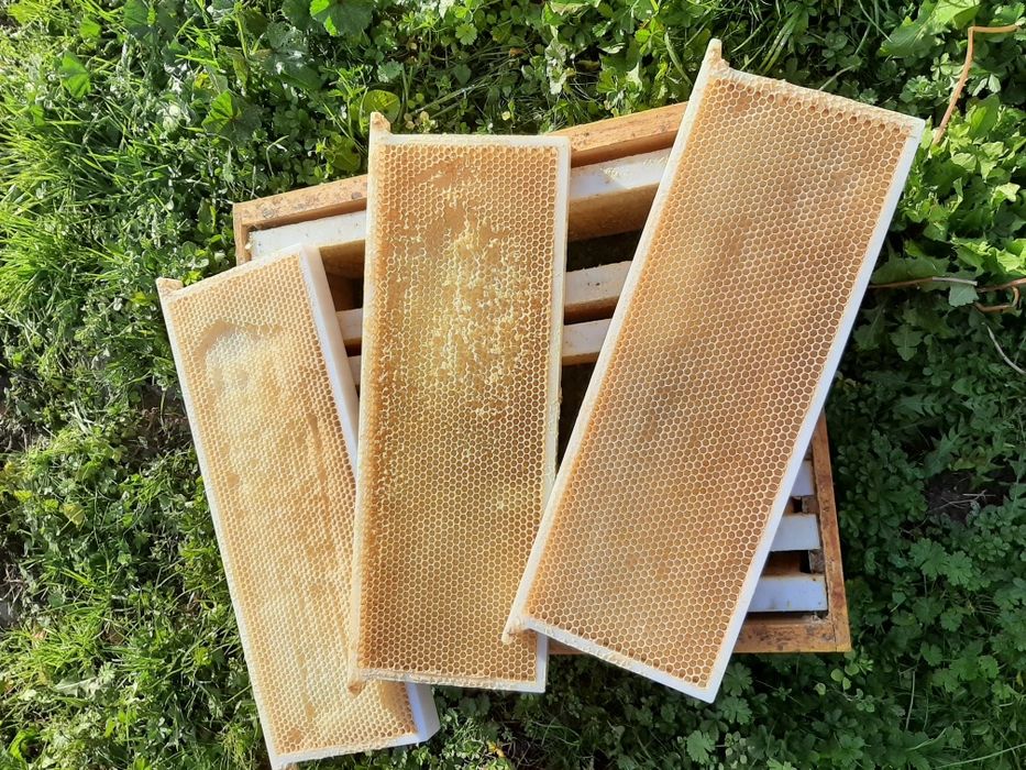 Rame  nicot 1/2 plastic și nuclee de împerecheat mătci