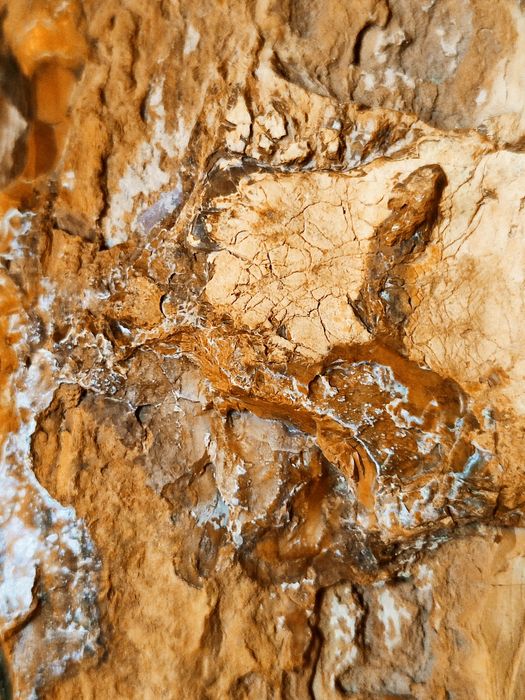 Камни для аквариума