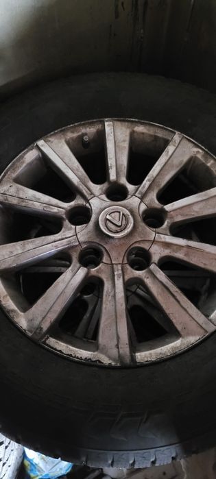 Хакапелита Нокиан 7