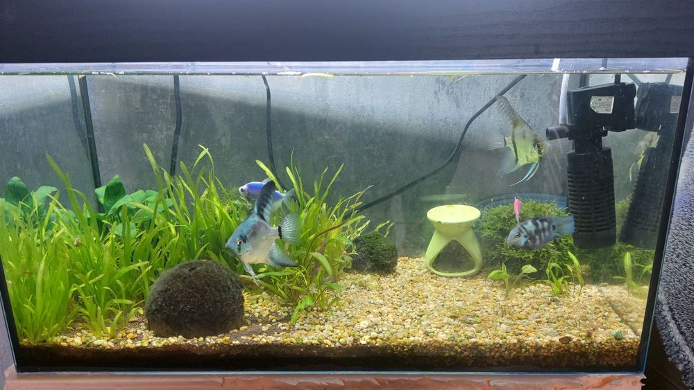 Продам аквариумы