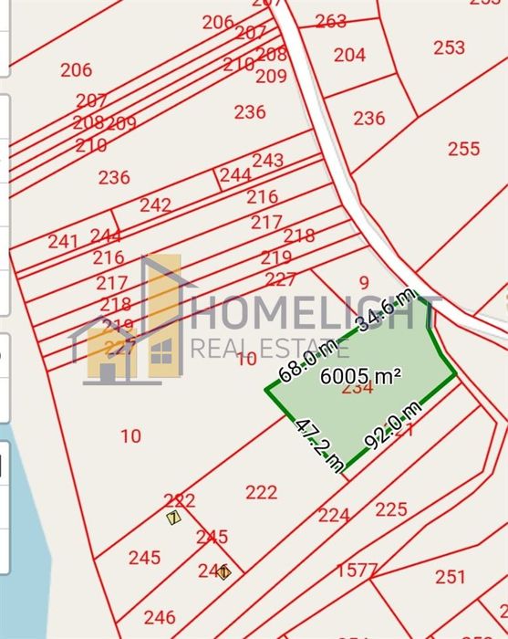 Продава се Парцел в Батак - 6001 кв.м за 18 €/кв.м - Снимка #5