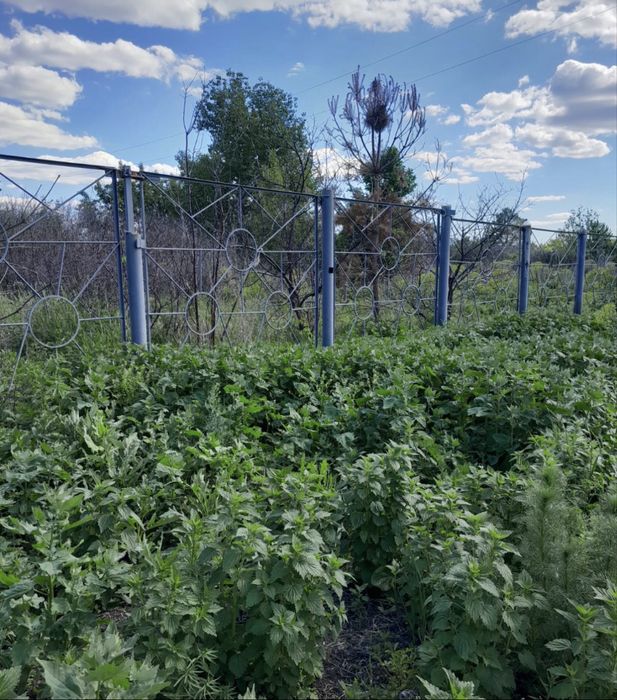 Продам забор с воротами