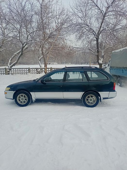 Тайота Королла..