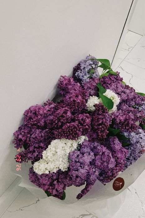 Сирень букет огромный