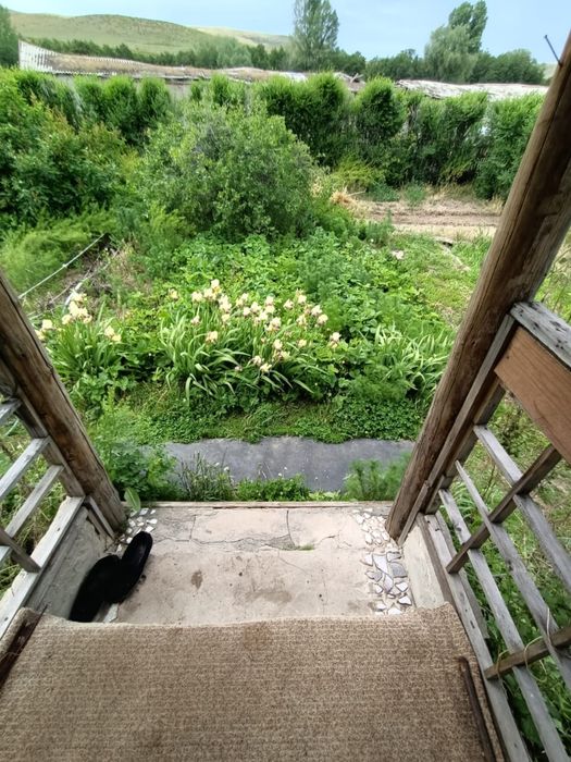 Крестьянское хозяйство