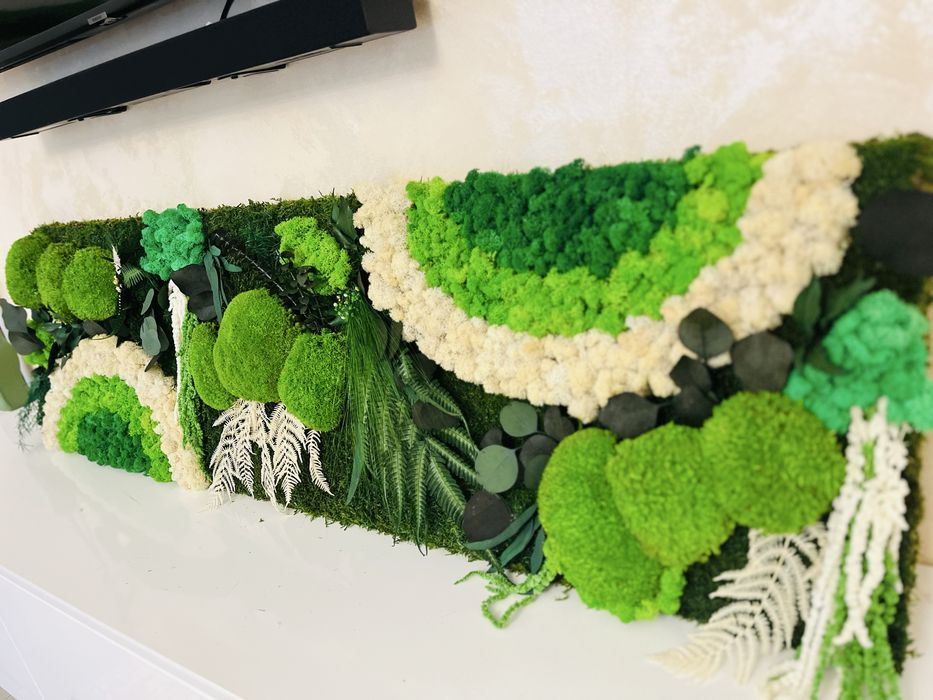 Tablouri cu licheni, plante stabilizate si muschi