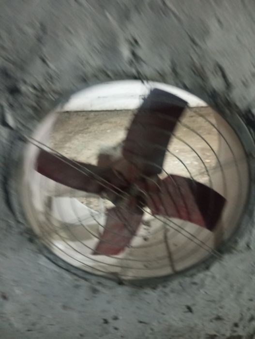 Vintilyator havoni soʻradigan kafolat bor