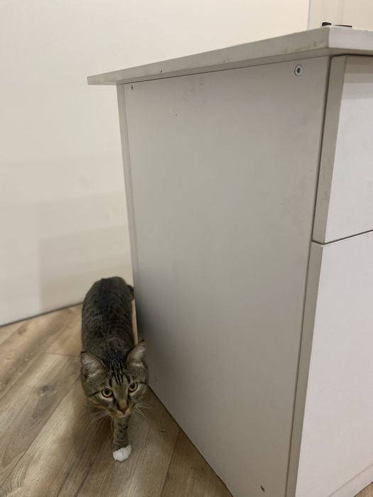 Продам офисный стол