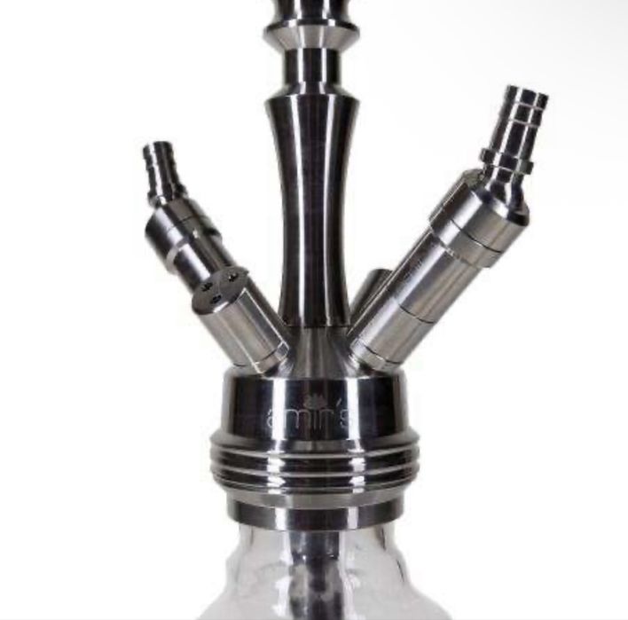 Narghilea Amir s Skull