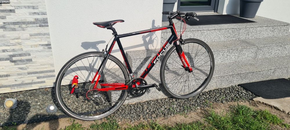 Bicicleta cursiera Focus Arriba cadru XL
