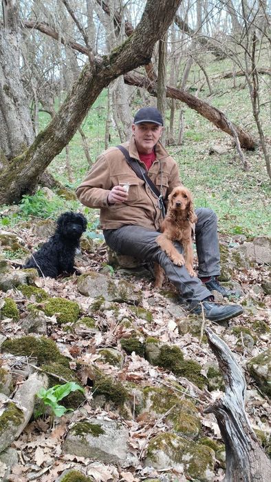 Кучета за трюфели - ОБУЧЕНИ