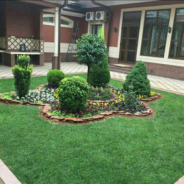 Рулонный газон .посев семян.уход за газоном.