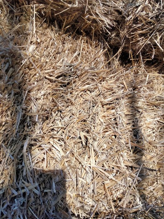 Vând baloți de paie