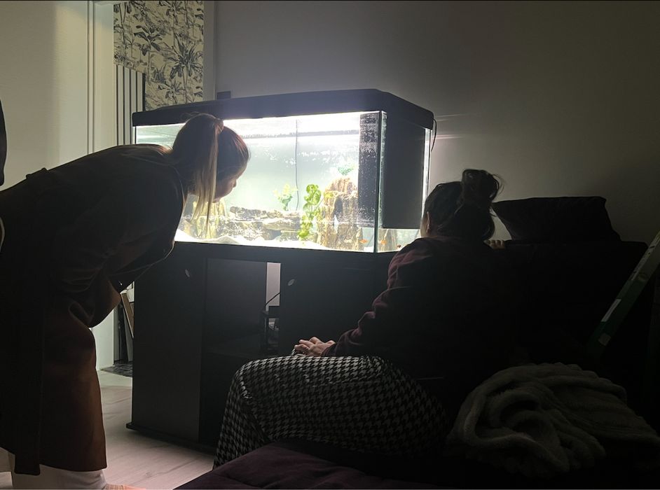 Acvariu Ferplast 250L complet echipat + dulap, pesti, accesorii