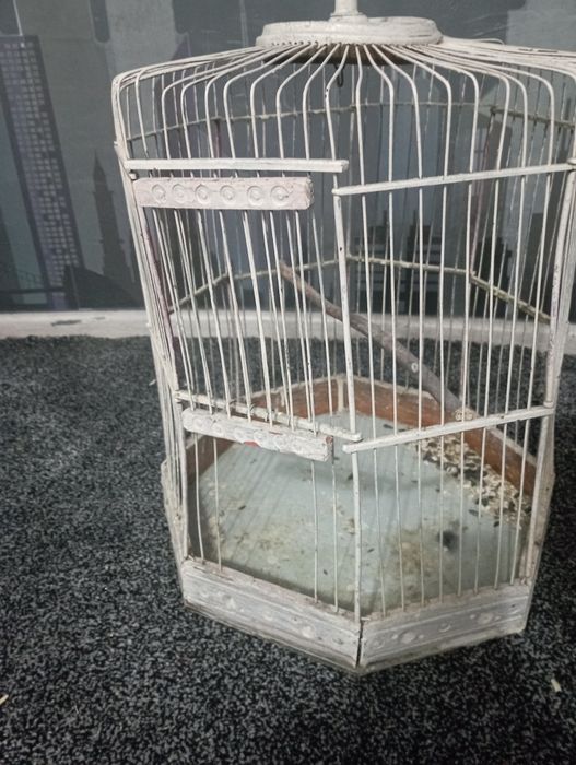 Кафас клетка. Сотилади.