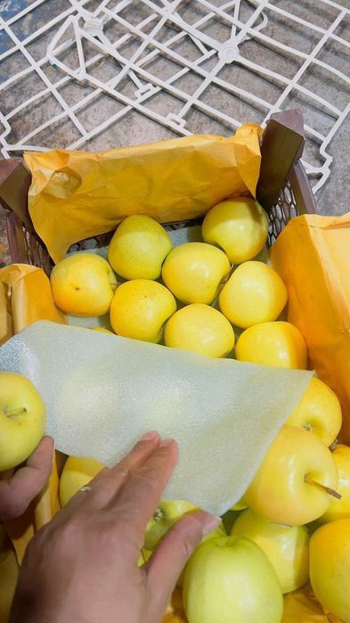 Мевалар Эрондан узотамиз факат фурада