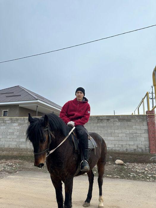 Продам срочно кокпар ат