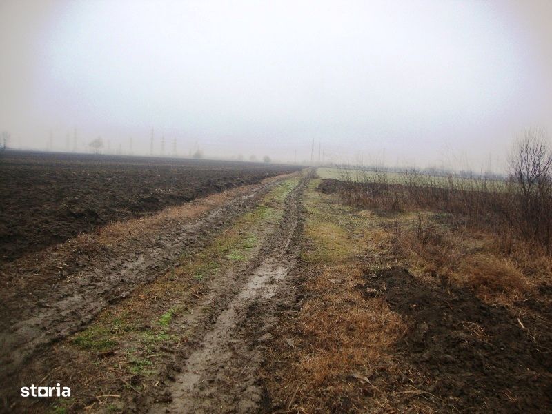 Teren extravilan Cocorastii Colt, Prahova - 3108094