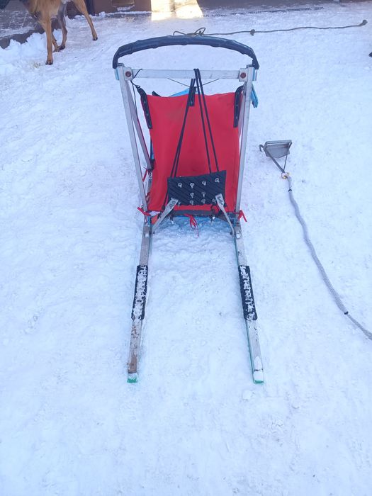 Sanie pentru caini (mushing) – MushER, fabricata in Transilvania