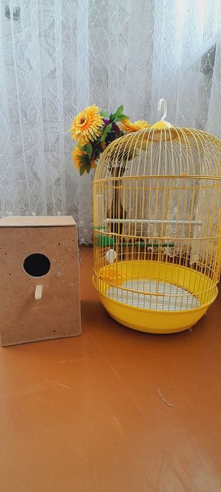 Клетка для попугаев