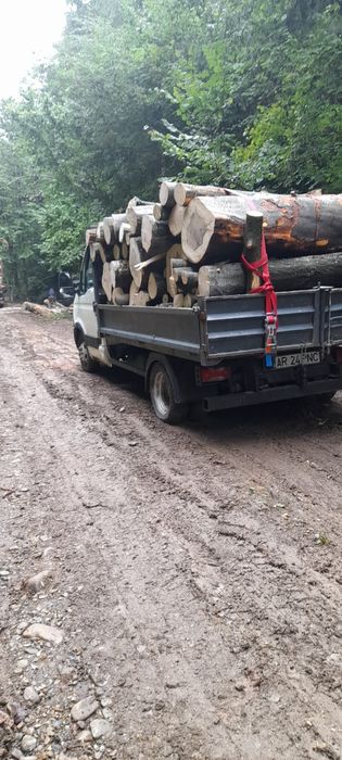 Lemne de vânzare Județul Arad