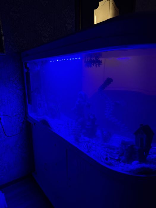 Аквариум 320 литров заводской